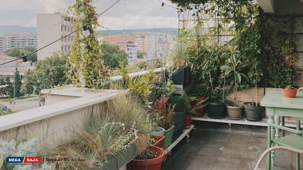 Taman Kering Balkon