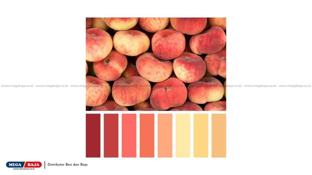 Warna Peach
