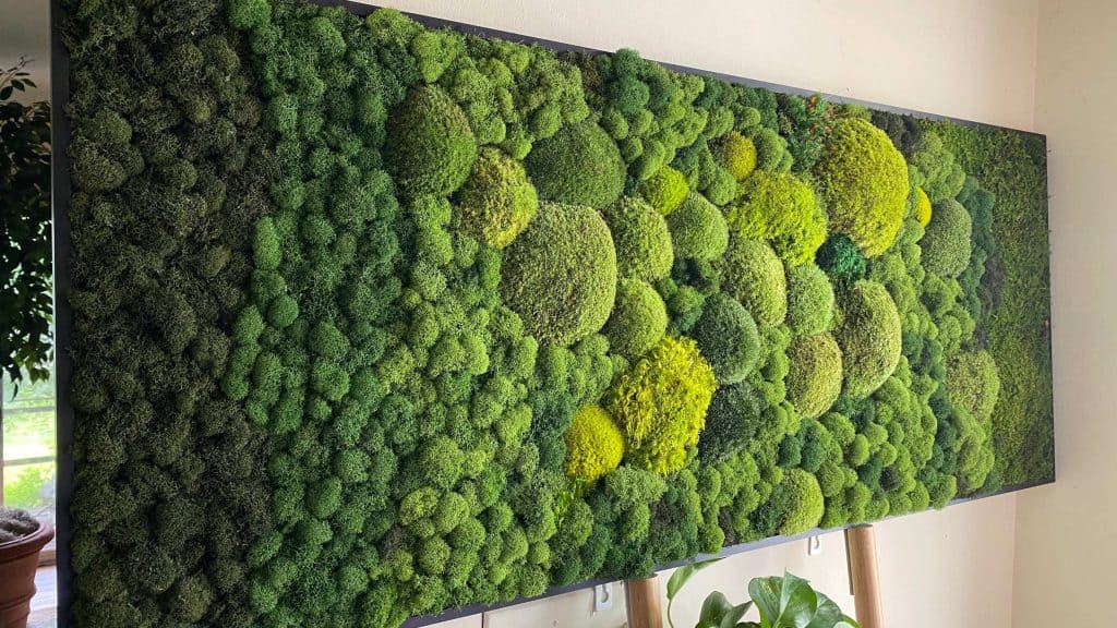 Mengenal Moss Wall Art