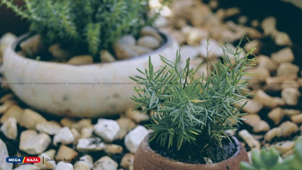 Pilih Tanaman yang Butuh Sedikit Air