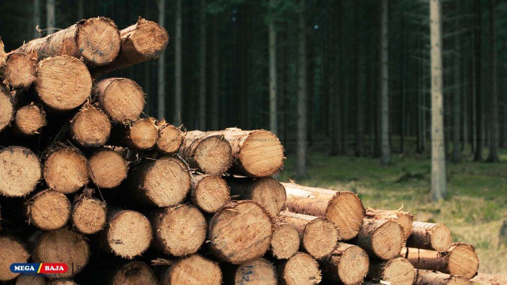 Pilih Bahan yang Tepat