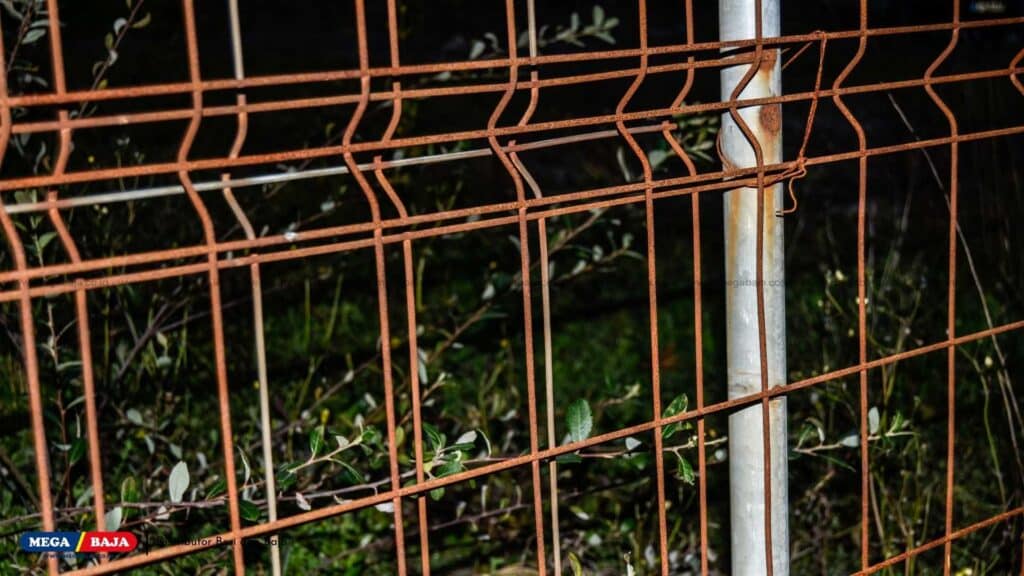 Cat Pelindung Sudah Rusak atau Mengelupas