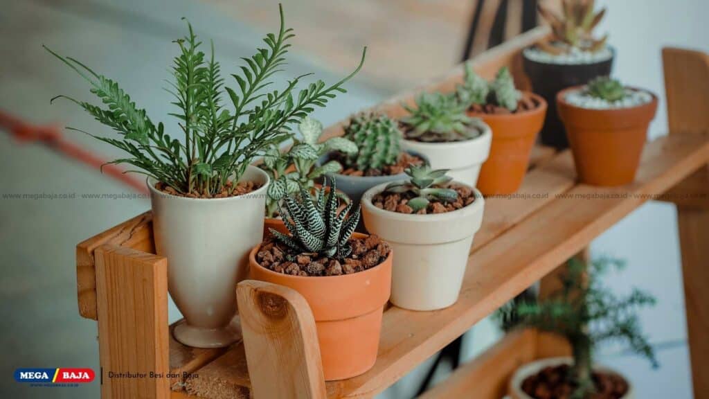 Gunakan Pot yang Sesuai