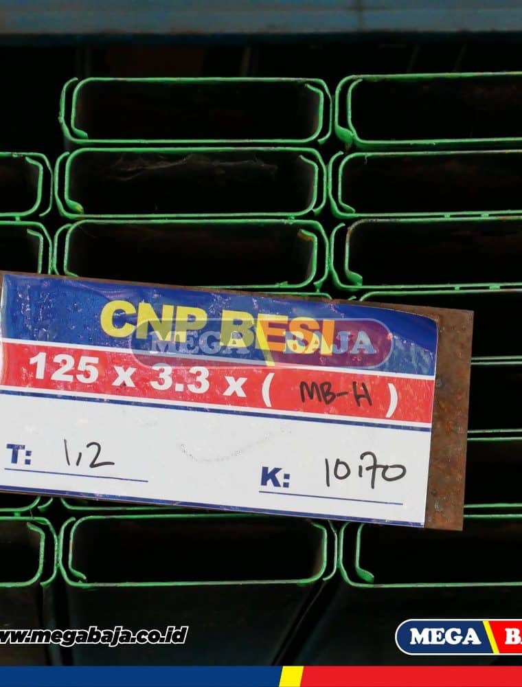 CNP 100 X 50 X 3.2 mm X 6 METER