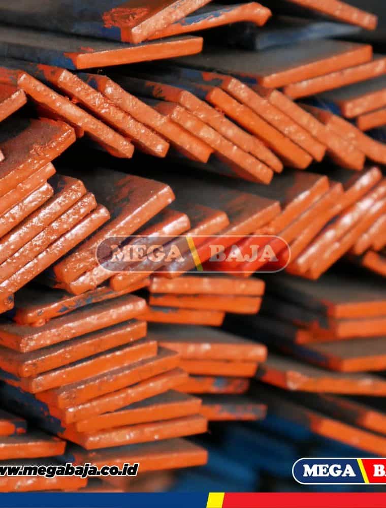 PLAT STRIP 9 X 25 X 6
