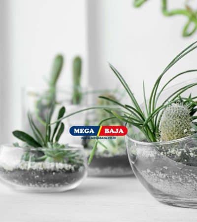 Membuat Dekorasi Rumah Bertema Alam dengan Terrarium dan Cara Membuatnya