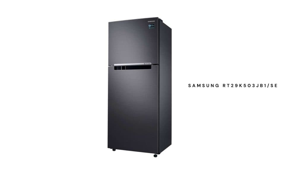 Samsung RT29K503JB1/SE 