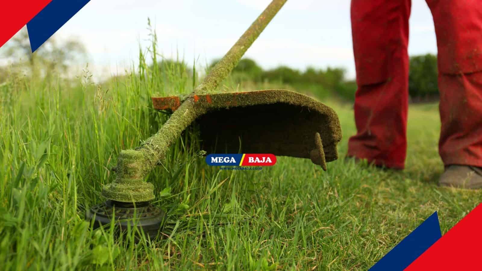 7 Cara Efektif Membasmi Rumput Liar di Halaman Rumah secara Permanen