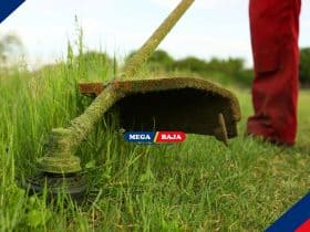 7 Cara Efektif Membasmi Rumput Liar di Halaman Rumah secara Permanen