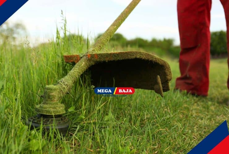 7 Cara Efektif Membasmi Rumput Liar di Halaman Rumah secara Permanen