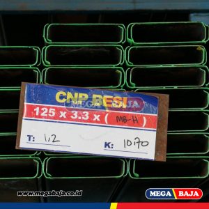 CNP 100 X 50 X 3.2 mm X 6 METER