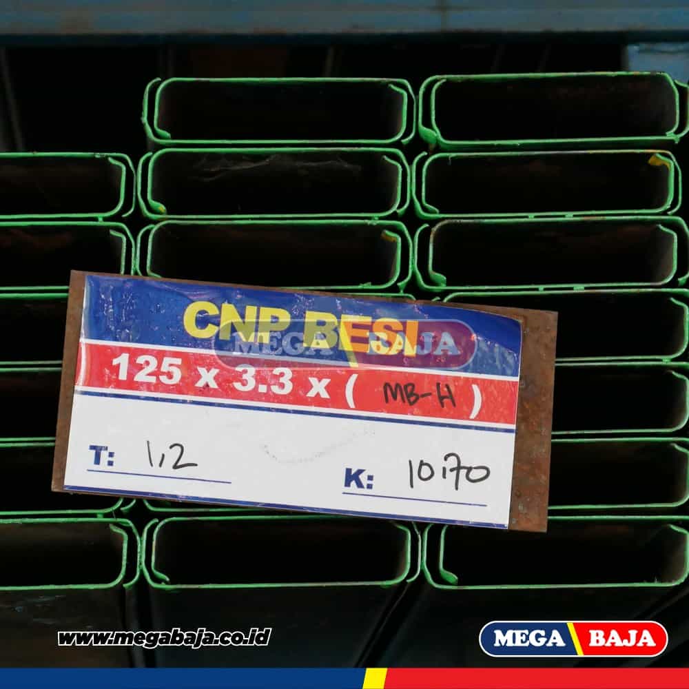 CNP 100 X 50 X 3.2 mm X 6 METER